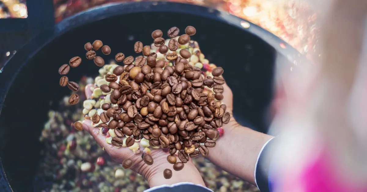 Can You Wash Mold Off Coffee Beans?