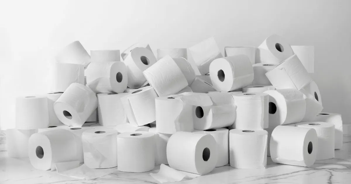 Best Toilet Paper for Allergies